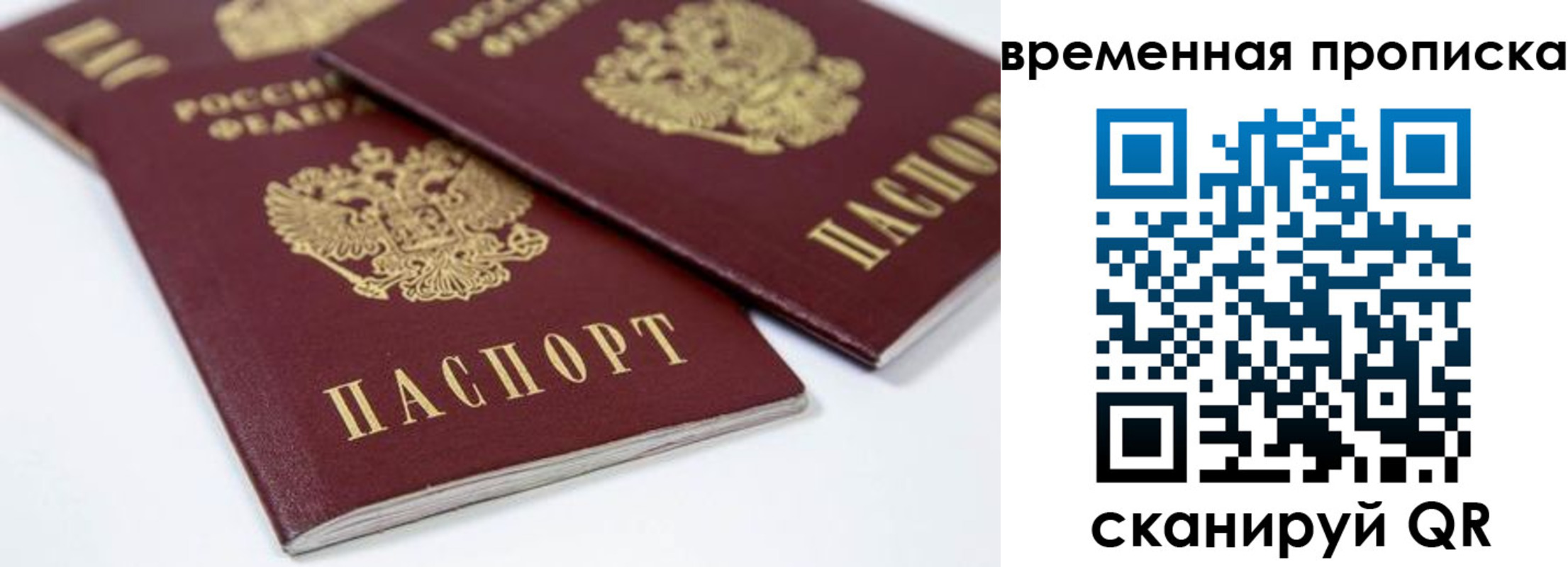 прописка для школы в Спасске-Дальнем